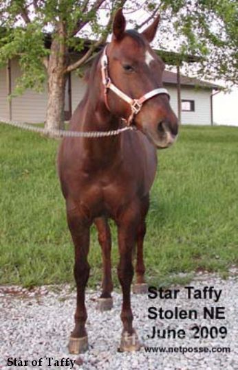 Star of Taffy